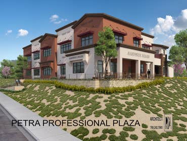 Petra Professional