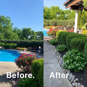 Photos by Prestige Lawn Care LLC #1