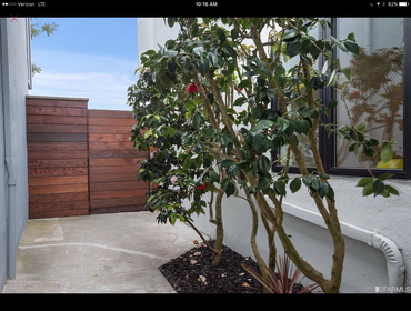 Custom Home 1