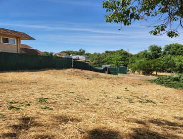 Photos by Chavezm Tree Service #13