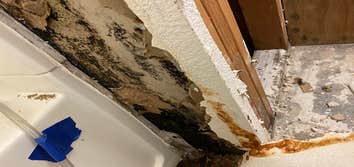 RestoreX Restoration | Water Damage Restoration and Mold Removal California