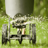 Photos by Protek Pest and Lawn Services #1