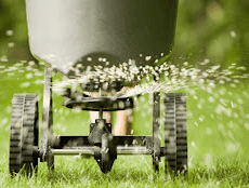 Photos by Protek Pest and Lawn Services #1