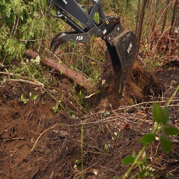 Tov Excavation