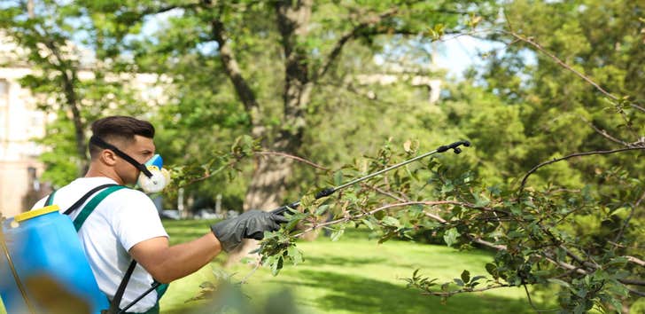 Photos by Great Water Tree Service #1