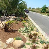 Photos by Afuera Landscape Designs Inc #1