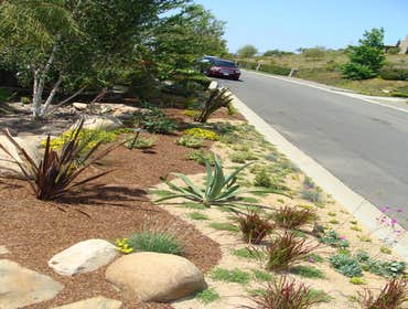 Photos by Afuera Landscape Designs Inc #1