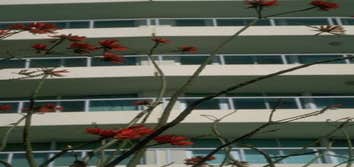 Glass & Aluminium Railings