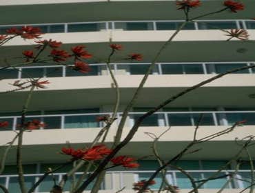 Glass & Aluminium Railings