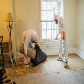 Photos by the Professional Touch #1 The Professional Touch provides expert mold remediation and mold removal services in Iowa Falls, IA. Our certified 