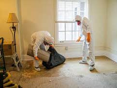 Photos by the Professional Touch #1 The Professional Touch provides expert mold remediation and mold removal services in Iowa Falls, IA. Our certified 