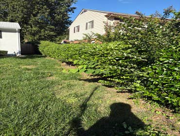 Photos by Beauty Meister Landscaping LLC #2