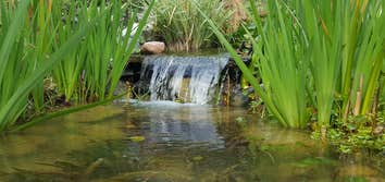Pond Construction