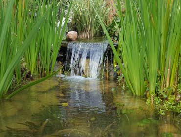 Pond Construction
