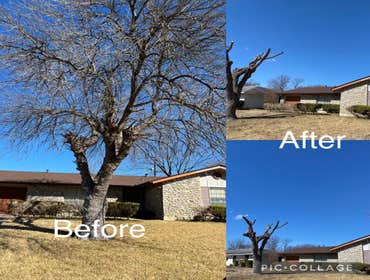 Before & After #6