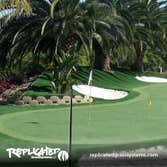 Photos from Replicated Grass Systems