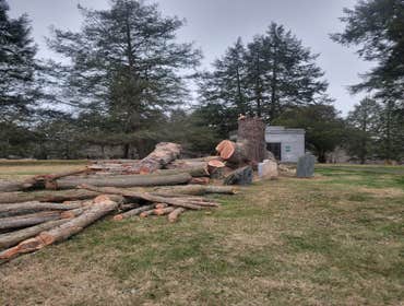 Photos by Hernandez Tree Services #18