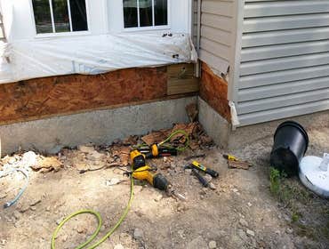 Photos from Lozenski Tree and Construction