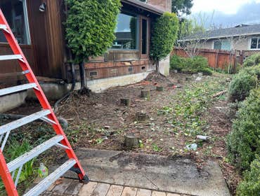 Photos by Century Bay Demolition & Hauling Junk #1