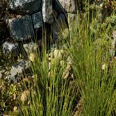 Ecological Design Working with nature to enhance our surroundings