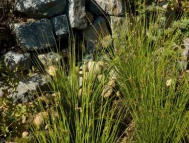 Ecological Design Working with nature to enhance our surroundings