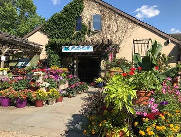 Photos by Decker's Nursery #1