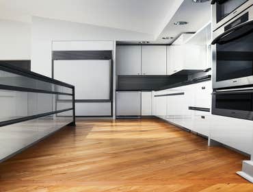 Modern Kitchen by Mantis Design + Build, LLC