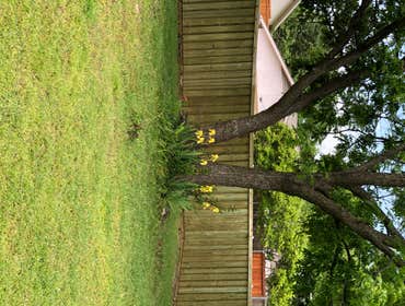 Photos by Mae Home Services LLC #1