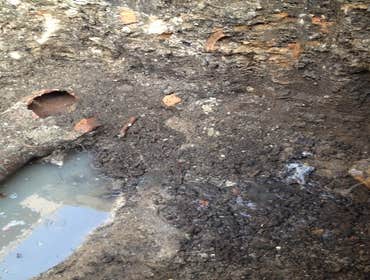 Sewer Replacement #2