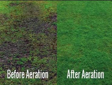 Photos by Ramos Landscaping. LLC @tree Service #1