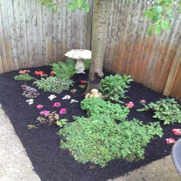 Photo(s) from Denham Lawn & Landscaping