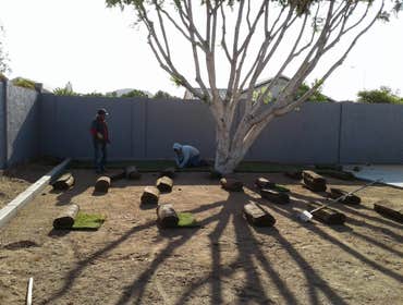 Photos by Landscape by Mel #1