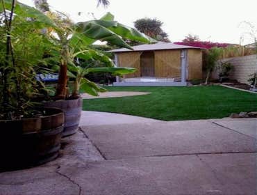 Artificial Grass