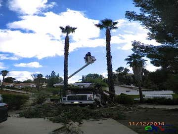 Photos by Estates Tree Service #1