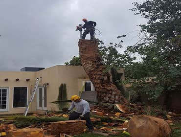 Photos by Villeda Tree Services #1