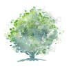 Greenthinc PLLC logo