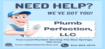 Plumb Perfection, LLC