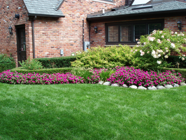 Landscape Design