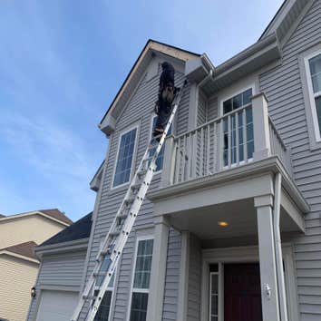 Nws Restoration - Roofing Contractor and Painting Company of Island Lake