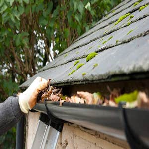 Photos by Gutter King Gutter Services #1