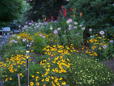 Asturi Landscaping Inc Project