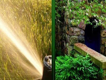 Photos from Green Thumb Landscaping
