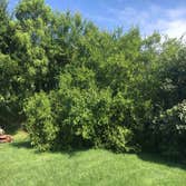 Photos by Professional Approach Landscape Services, Inc #1