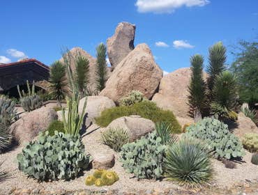 Landscape