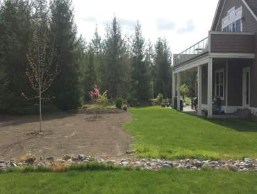 Auburn New Lawn