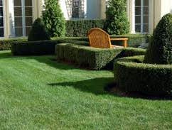 Photos by Elegant Landscaping #1