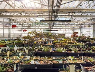 Hazel Hare Center for Plant Science