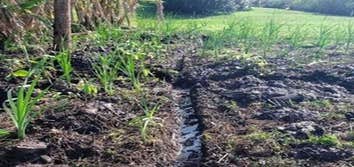 Pinellas Park Drainage Solutions