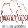 Sonoranscapes Landscape & Maintenance logo
