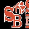 Stamey Builders, Inc logo